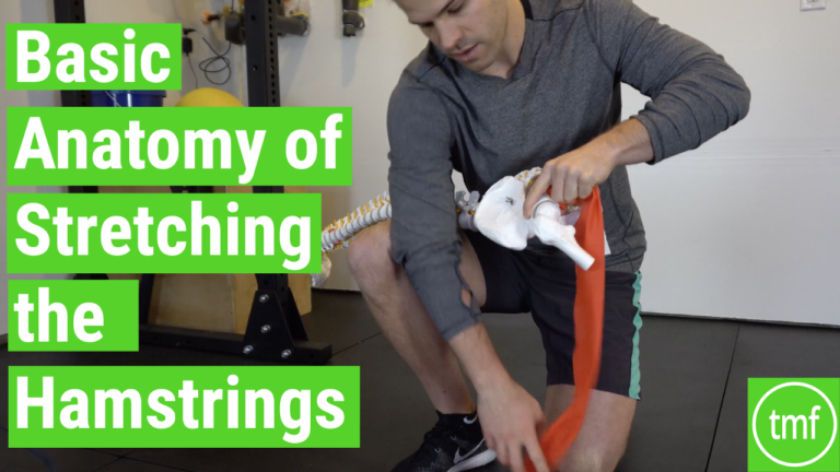 stretch hamstrings