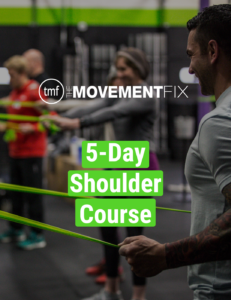 shoulder basics