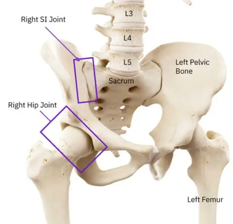 Ultimate Guide to Hip Mobility - Everything for your Hips - Movement Fix