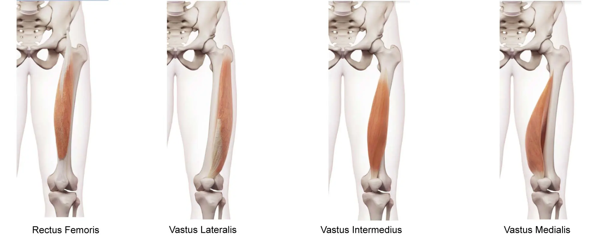 Ultimate Guide To Hip Mobility Everything For Your Hips Movement Fix